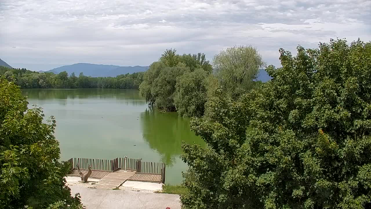 Web kamera Ribnik Vrbje – Žalec