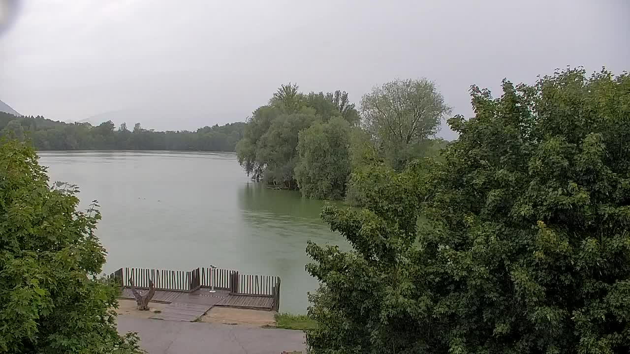 Spletna kamera Ribnik Vrbje – Žalec