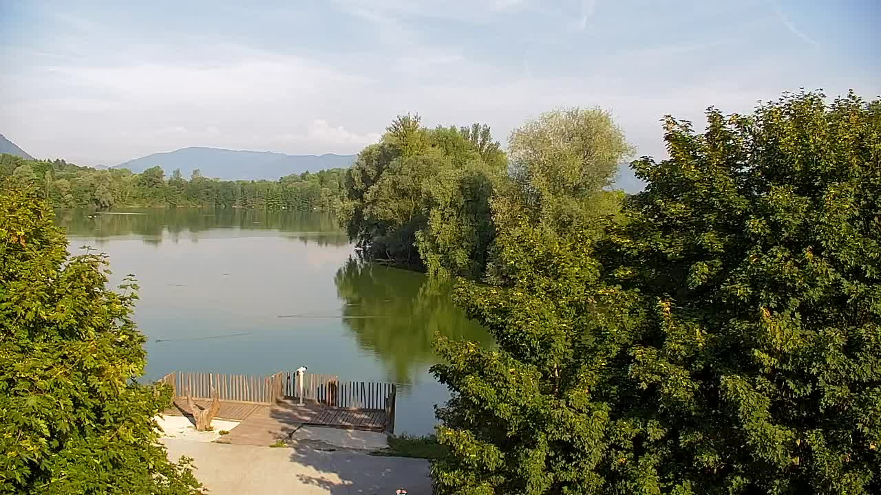 Webcam Ribnik Vrbje – Žalec