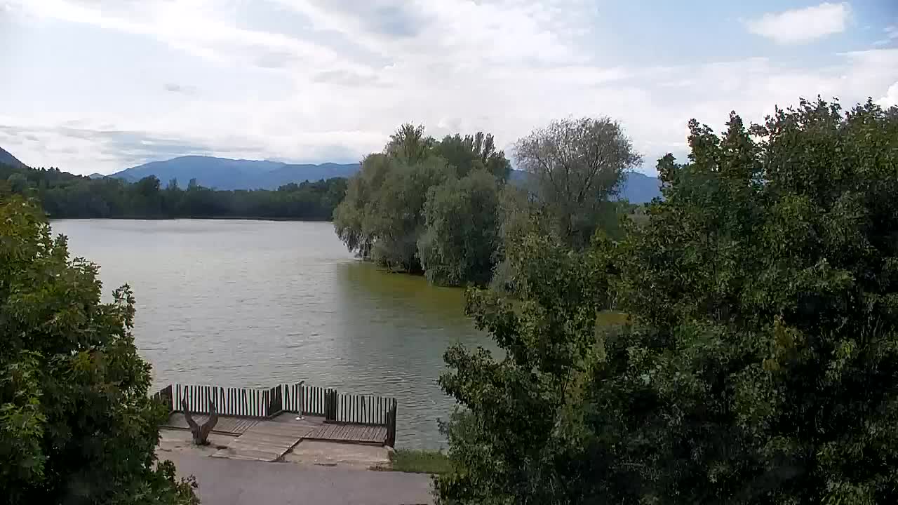 Web kamera Ribnik Vrbje – Žalec