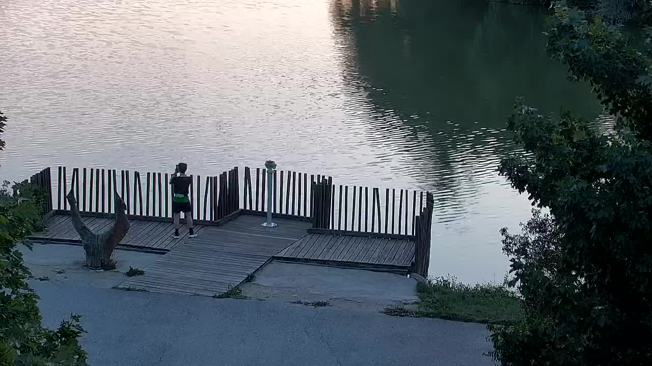 Webcam Ribnik Vrbje – Žalec