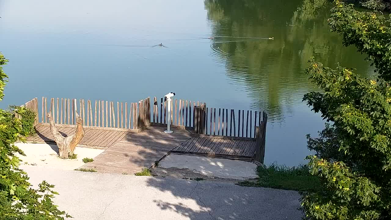 Spletna kamera Ribnik Vrbje – Žalec