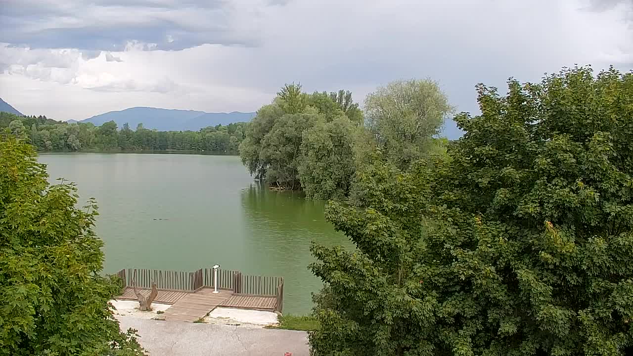 Spletna kamera Ribnik Vrbje – Žalec