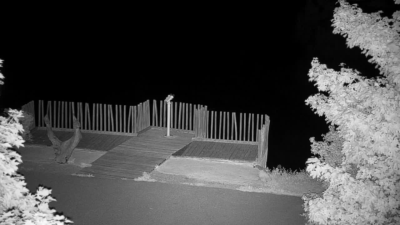 Webcam Ribnik Vrbje – Žalec