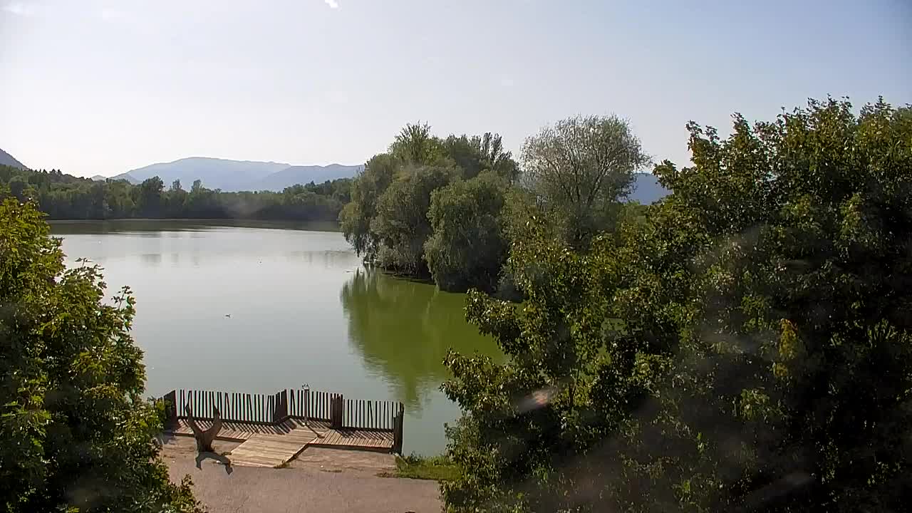 Webcam Ribnik Vrbje – Žalec