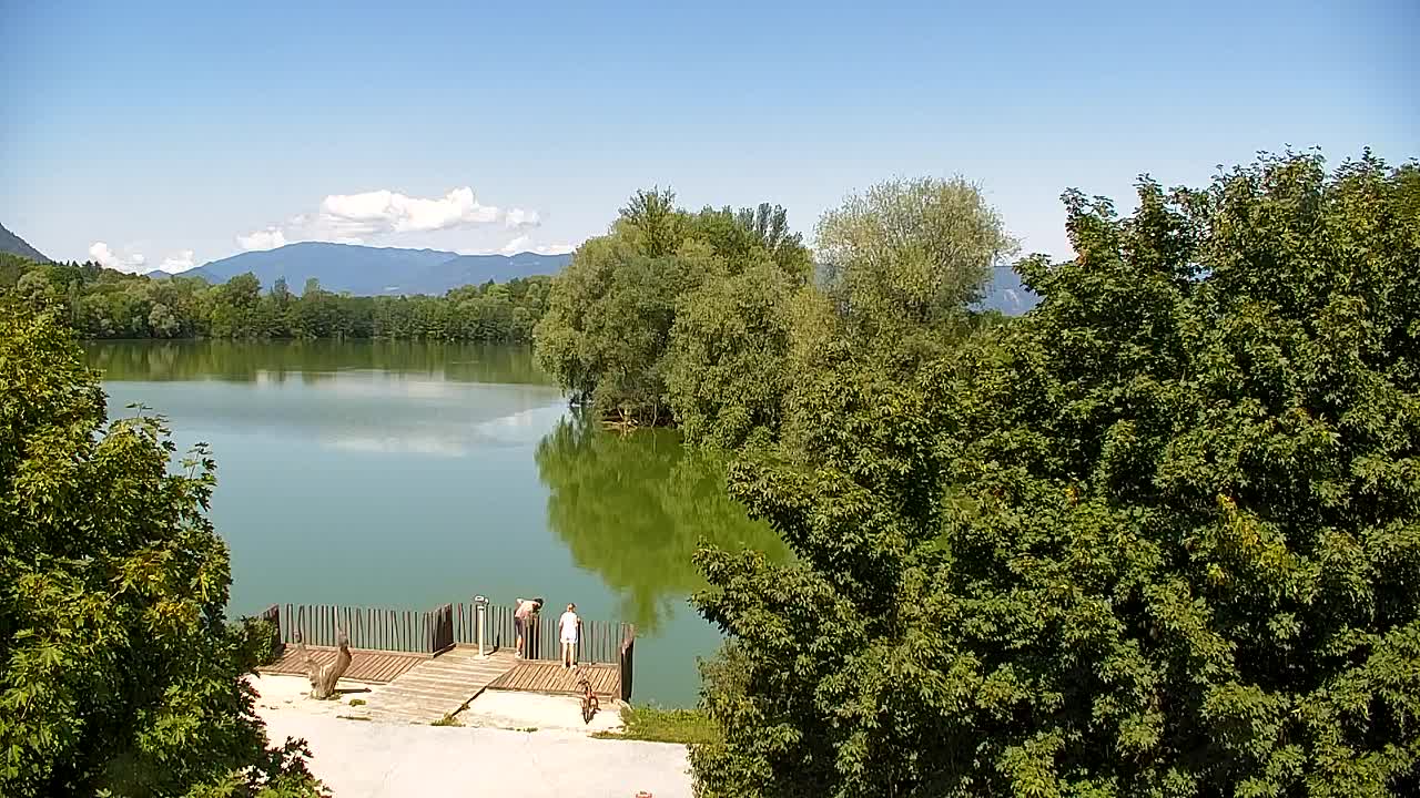 Web kamera Ribnik Vrbje – Žalec