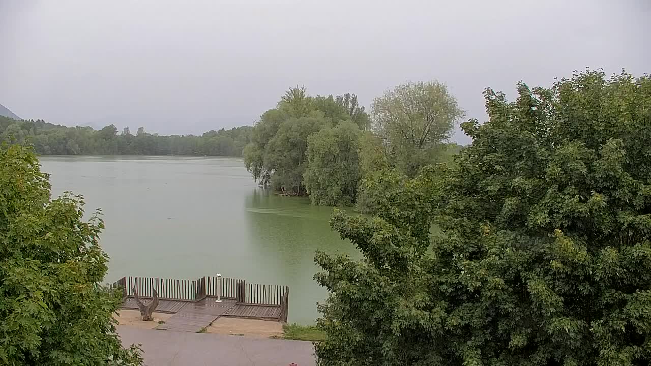 Webcam Ribnik Vrbje – Žalec
