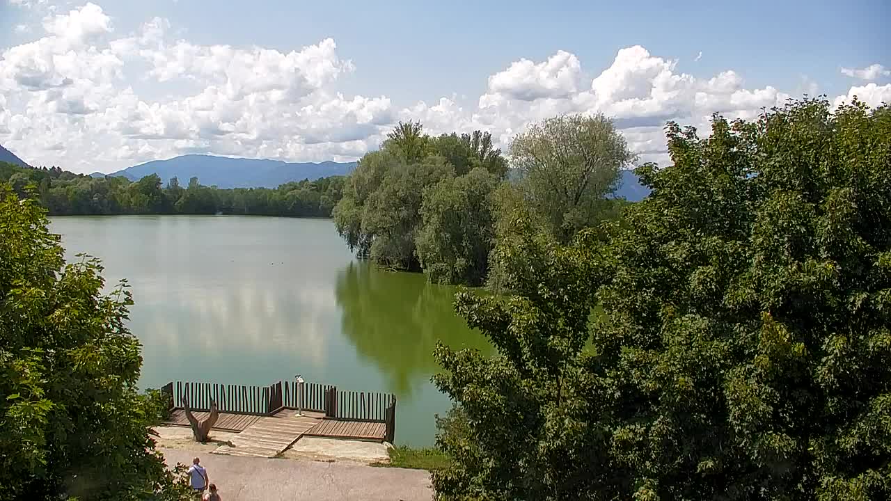 Webcam Ribnik Vrbje – Žalec