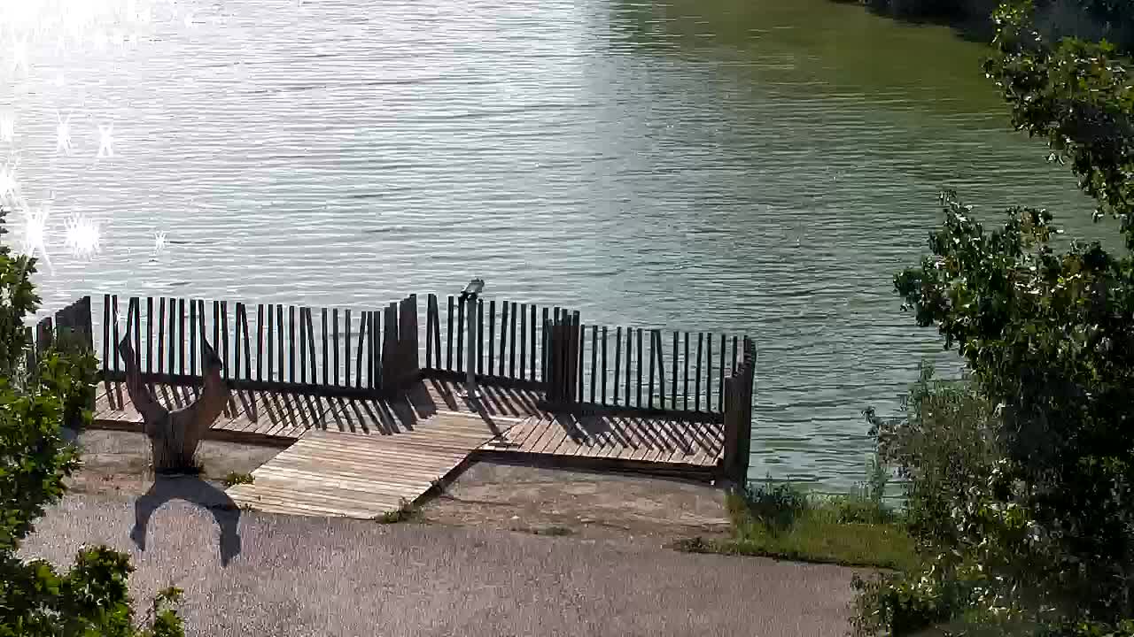 Webcam Ribnik Vrbje – Žalec