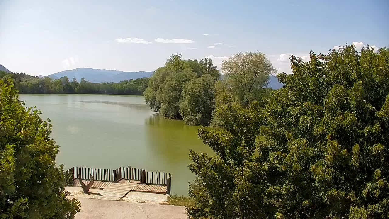 Spletna kamera Ribnik Vrbje – Žalec