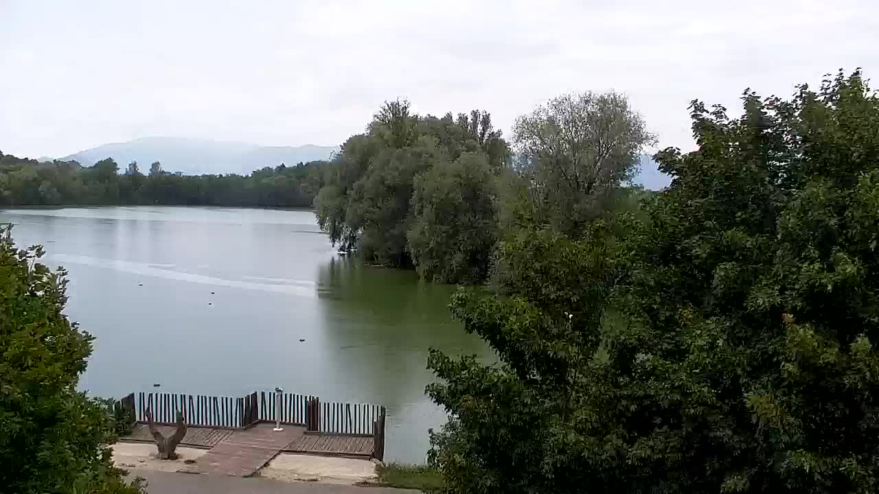 Webcam Ribnik Vrbje – Žalec