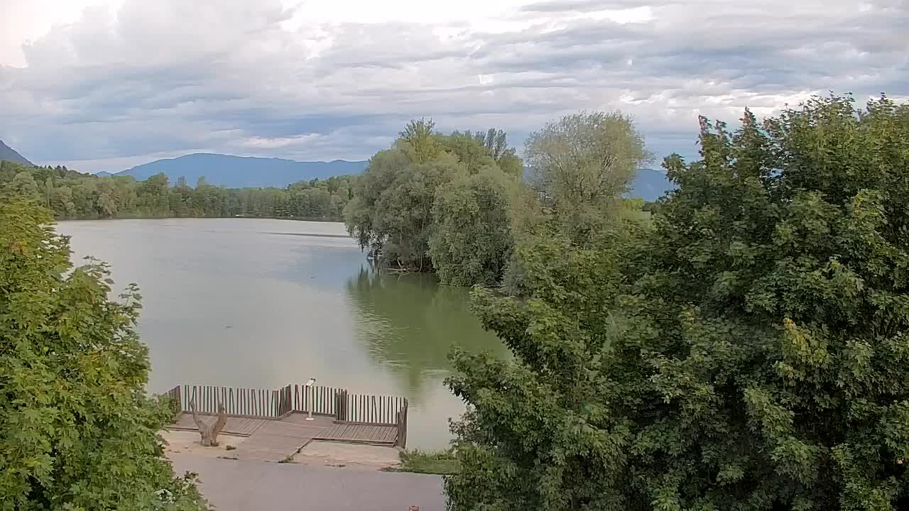Webcam Ribnik Vrbje – Žalec