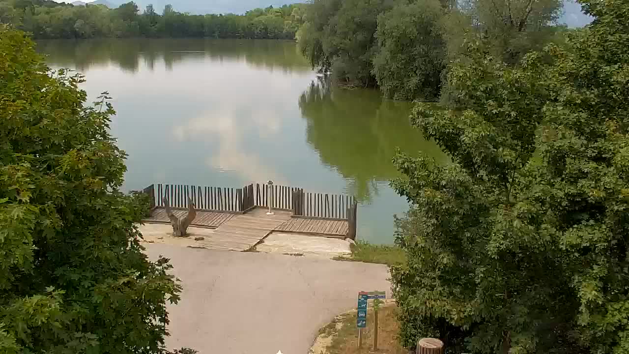 Spletna kamera Ribnik Vrbje – Žalec