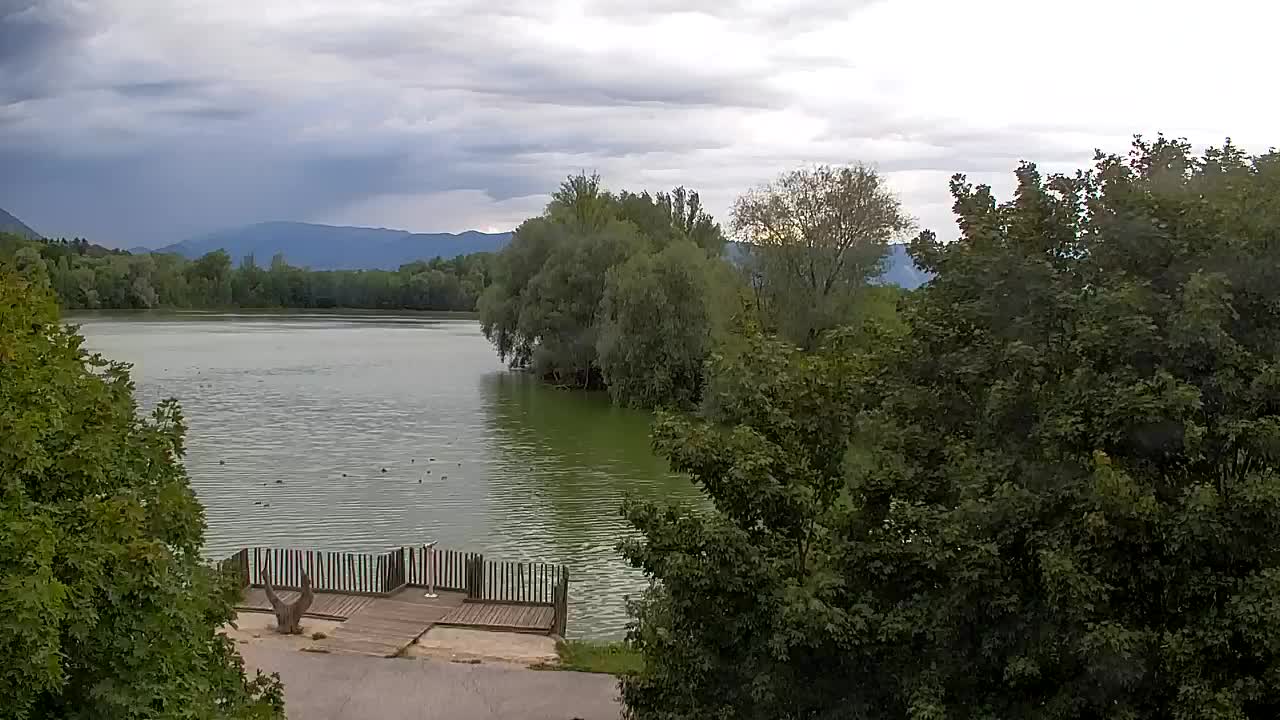 Spletna kamera Ribnik Vrbje – Žalec