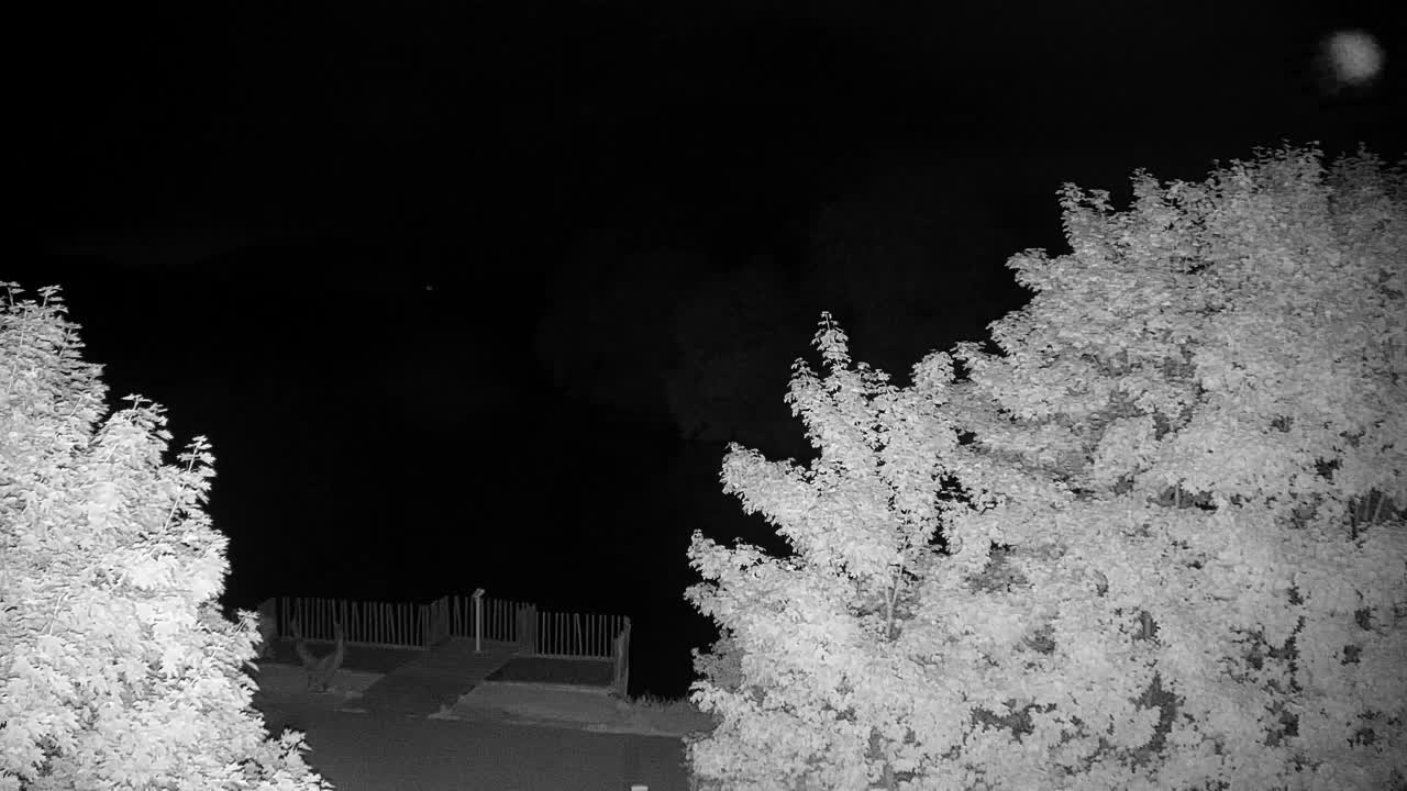 Webcam Ribnik Vrbje – Žalec