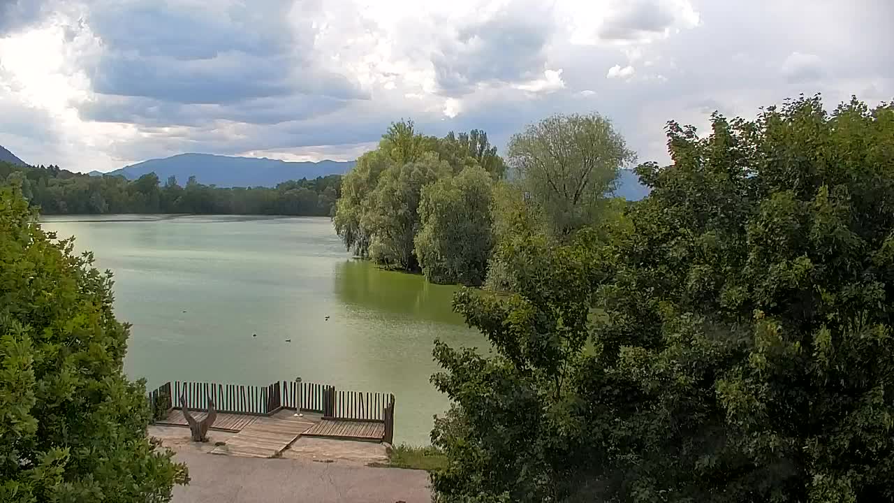 Spletna kamera Ribnik Vrbje – Žalec