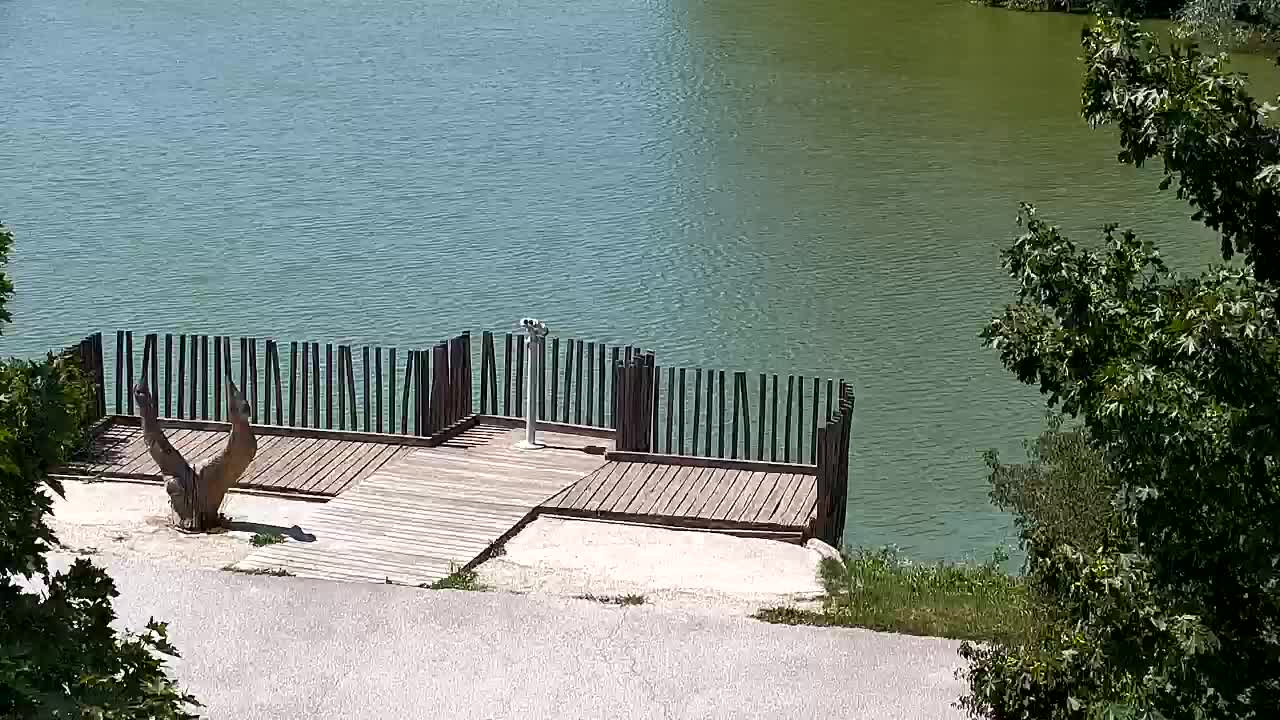 Webcam Ribnik Vrbje – Žalec