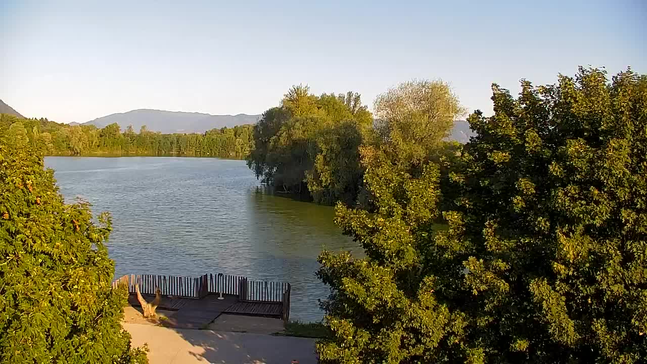 Spletna kamera Ribnik Vrbje – Žalec