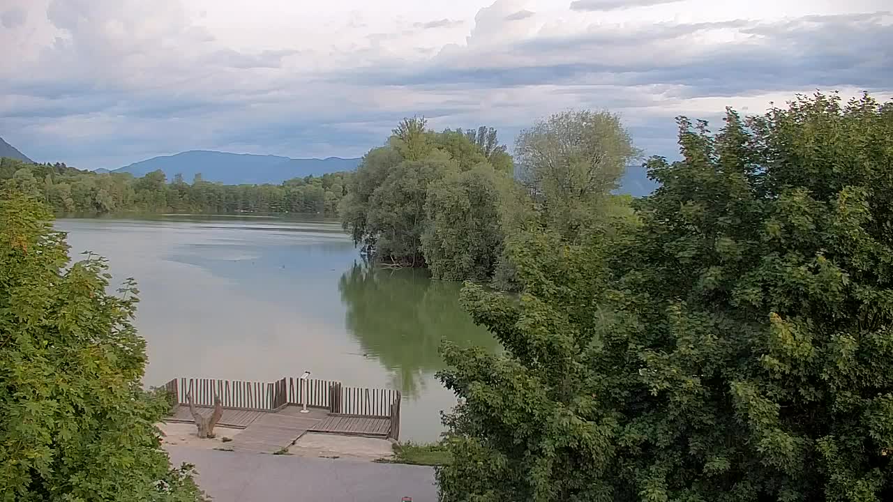Webcam Ribnik Vrbje – Žalec