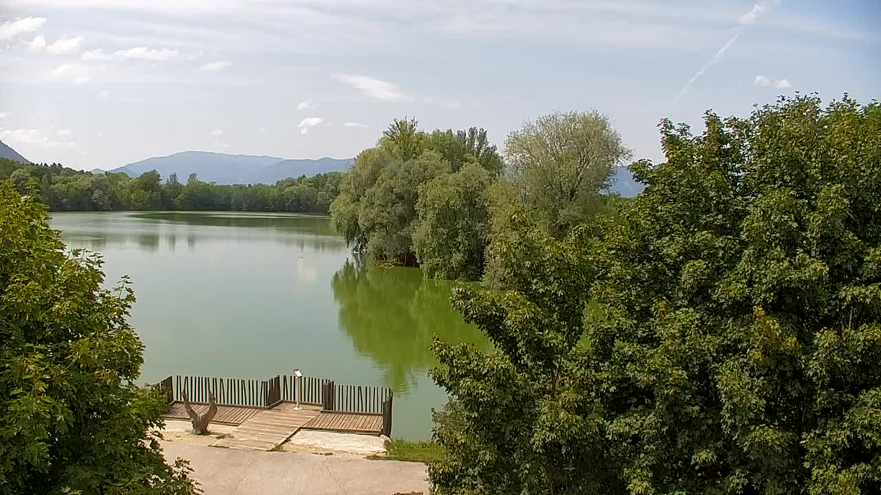 Webcam Ribnik Vrbje – Žalec