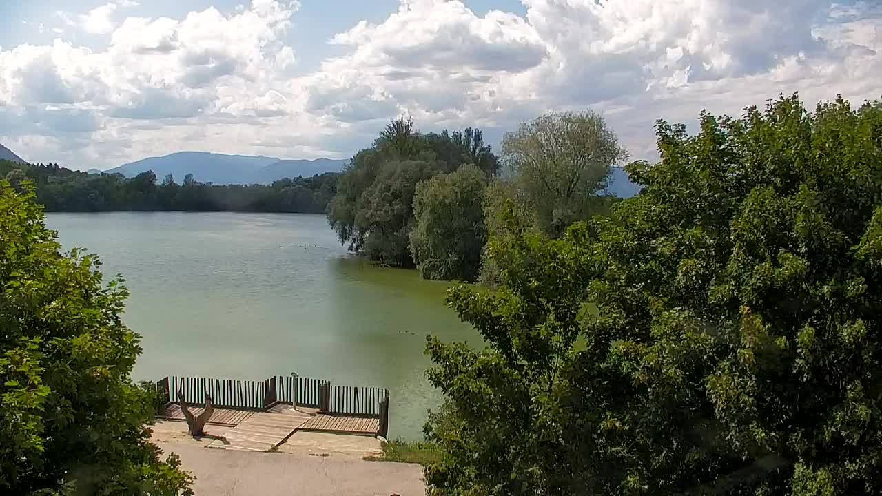 Webcam Ribnik Vrbje – Žalec