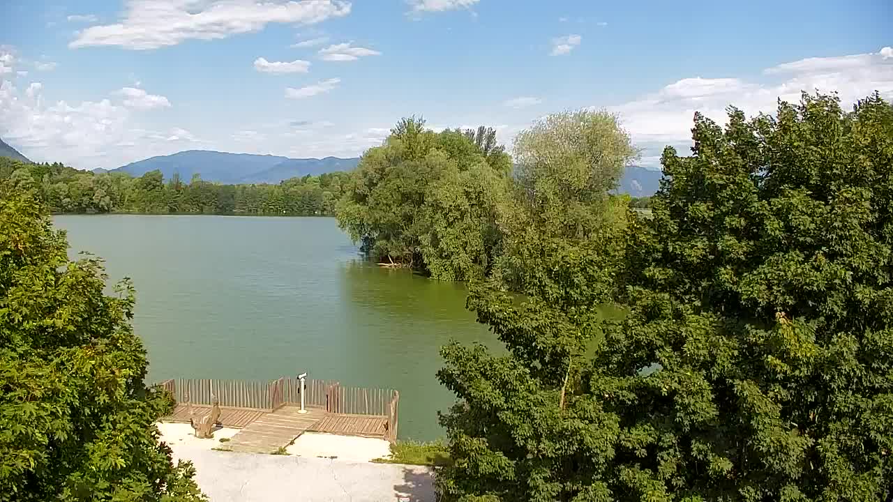 Webcam Ribnik Vrbje – Žalec