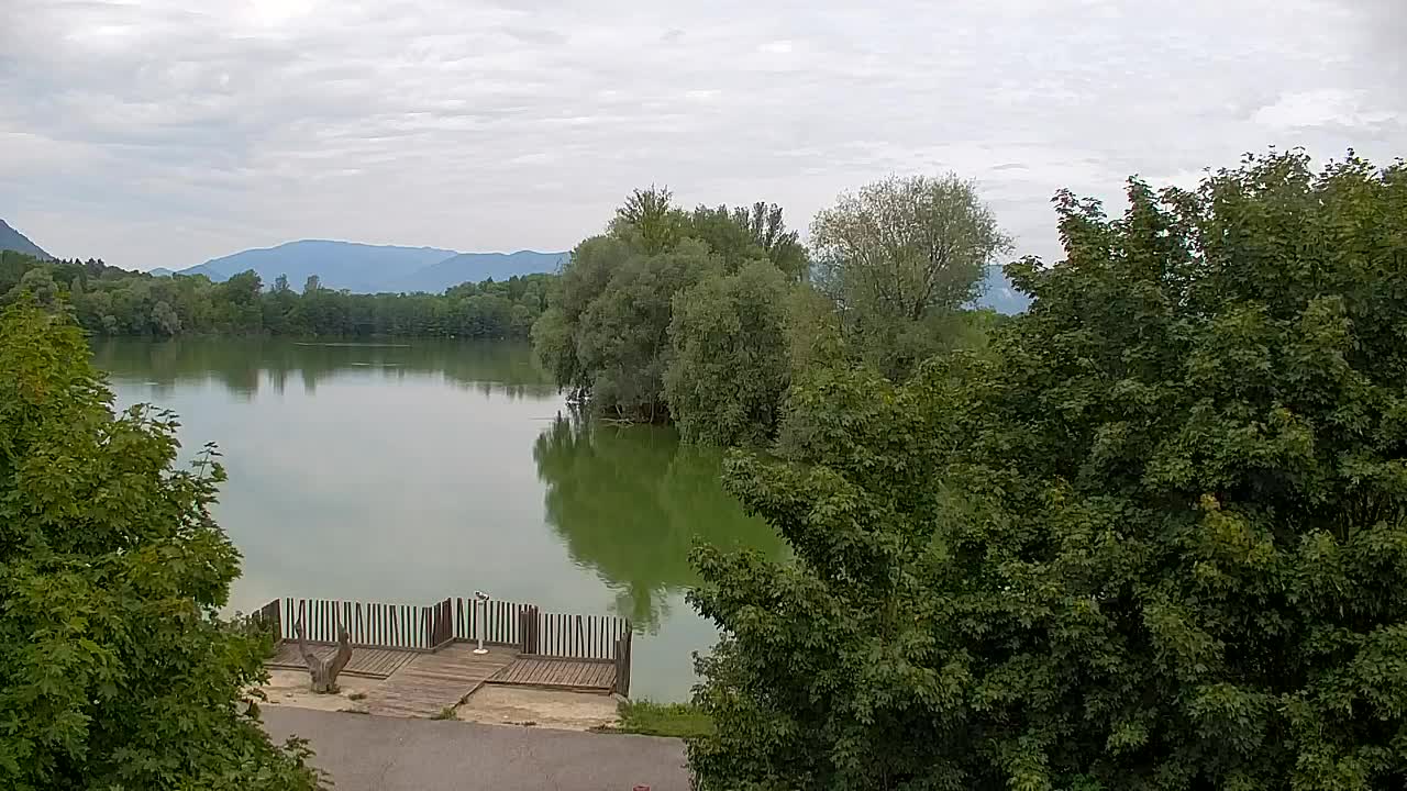 Webcam Ribnik Vrbje – Žalec