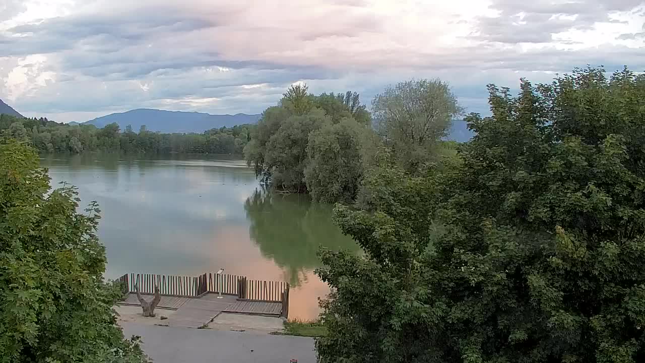 Webcam Ribnik Vrbje – Žalec