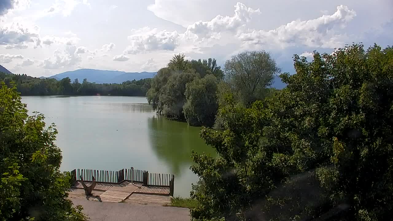 Webcam Ribnik Vrbje – Žalec