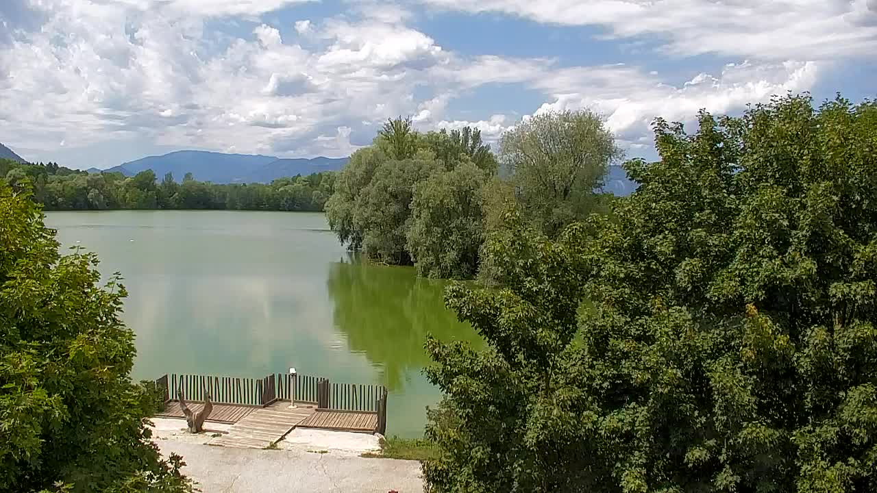 Webcam Ribnik Vrbje – Žalec