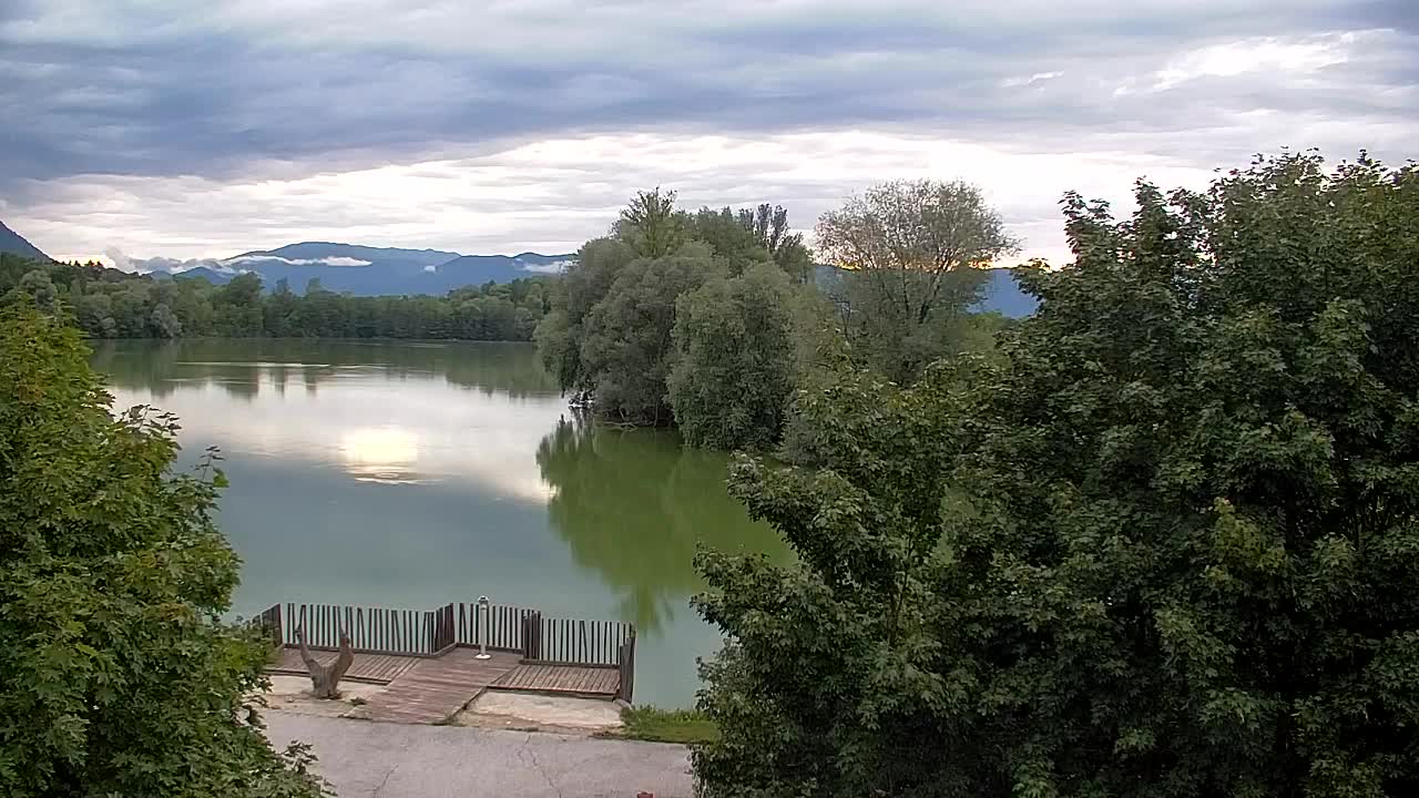 Spletna kamera Ribnik Vrbje – Žalec