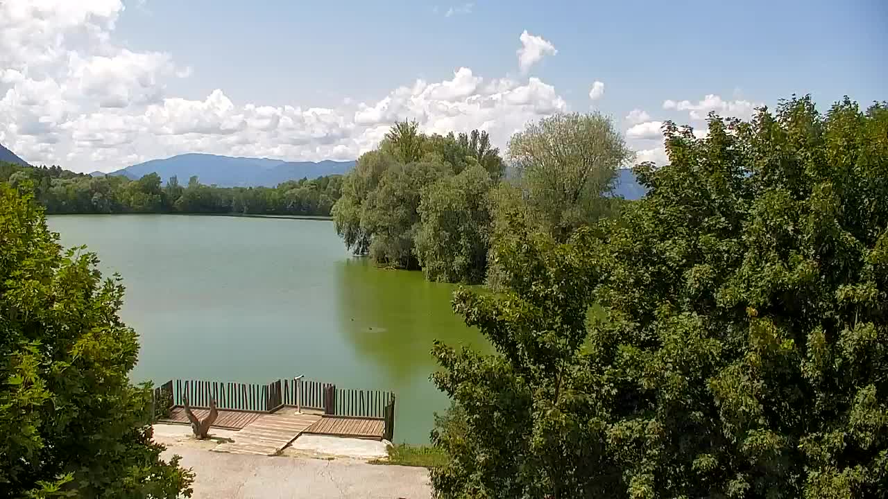 Webcam Ribnik Vrbje – Žalec