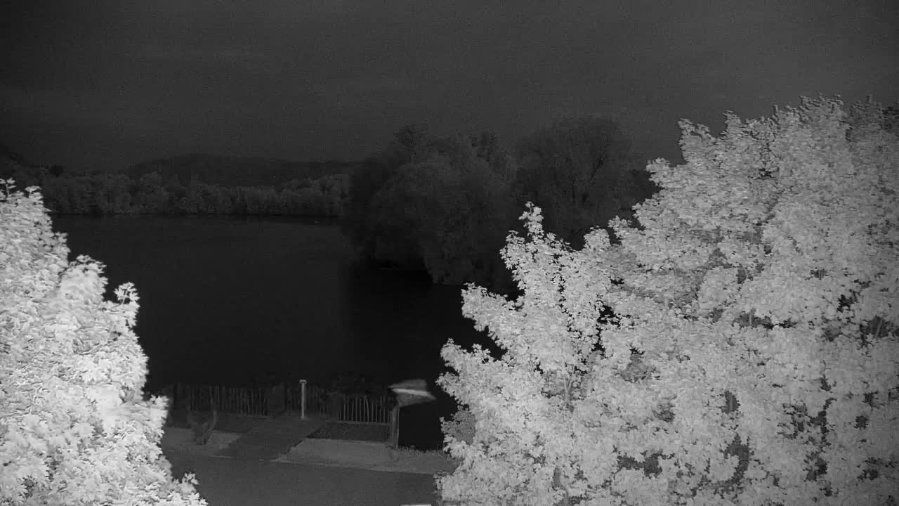 Webcam Ribnik Vrbje – Žalec