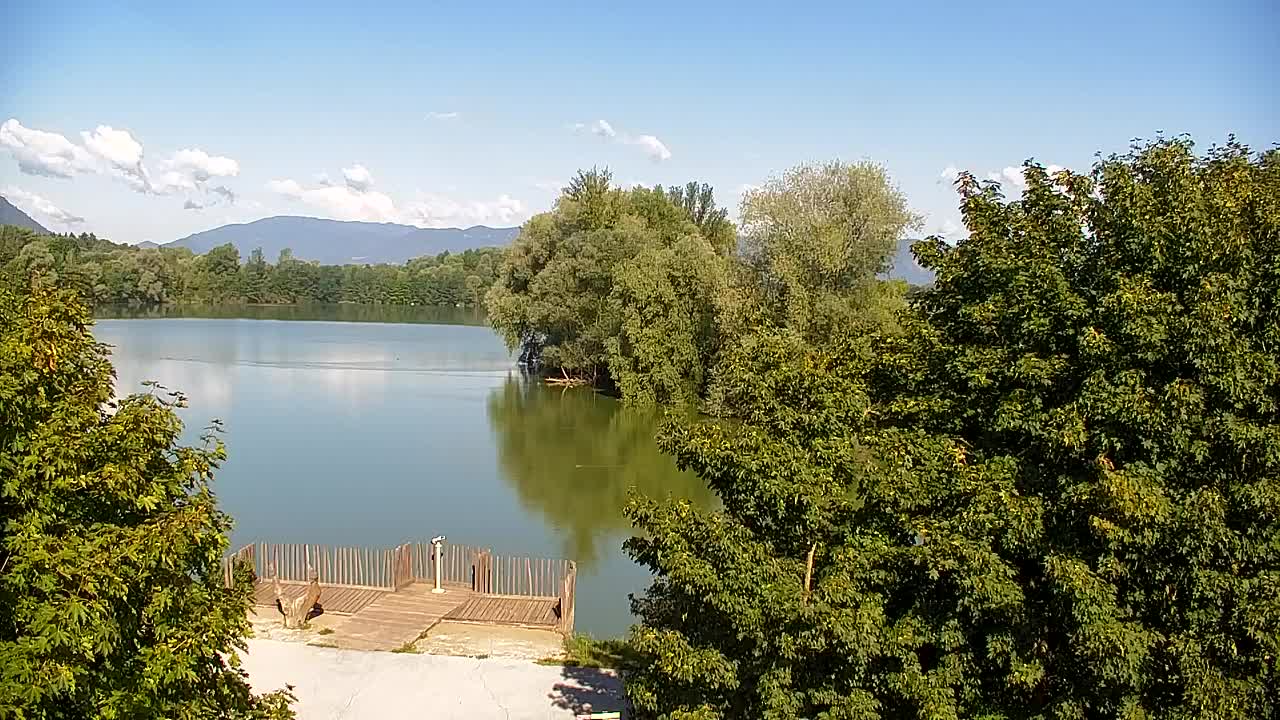 Webcam Ribnik Vrbje – Žalec