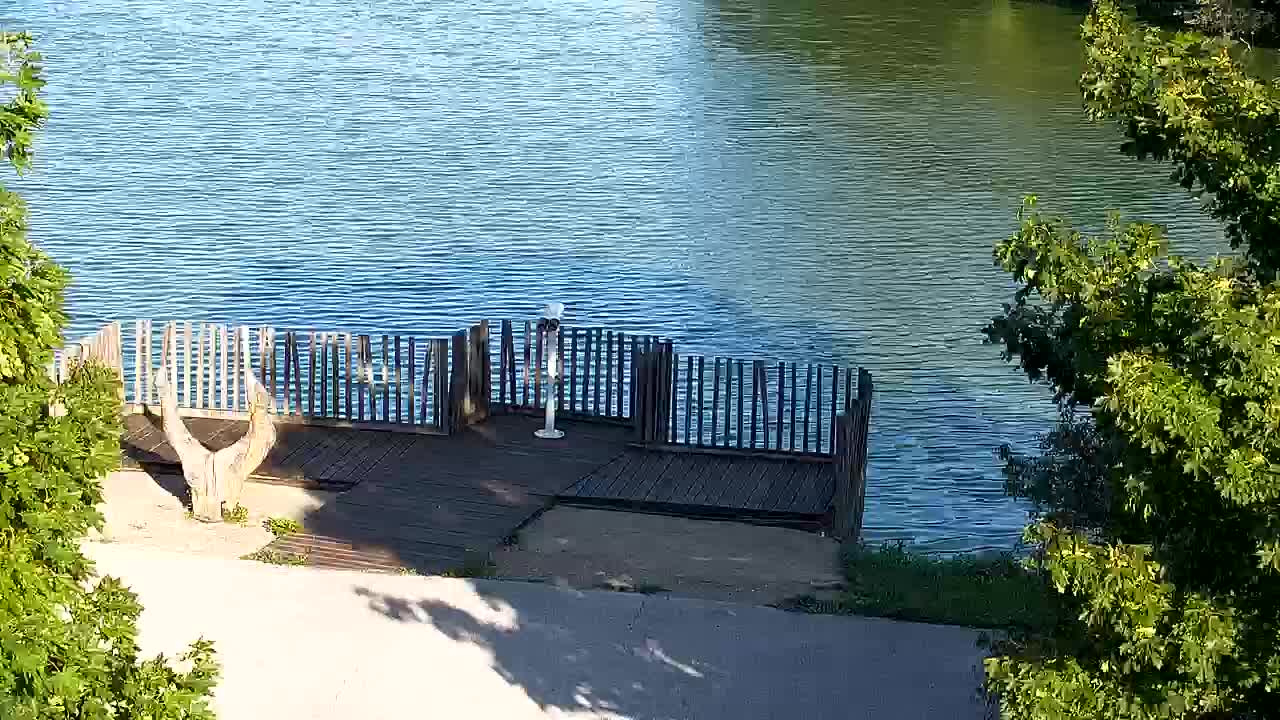 Webcam Ribnik Vrbje – Žalec