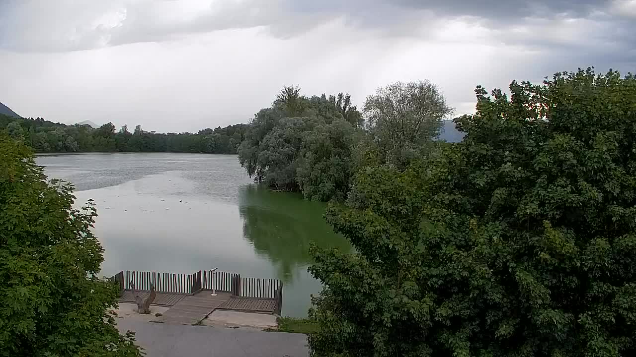 Web kamera Ribnik Vrbje – Žalec
