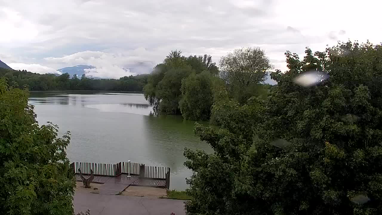Webcam Ribnik Vrbje – Žalec