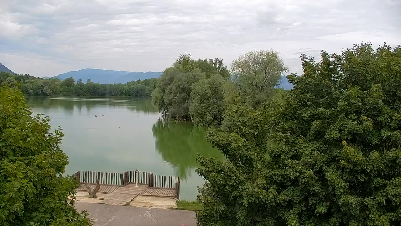 Webcam Ribnik Vrbje – Žalec