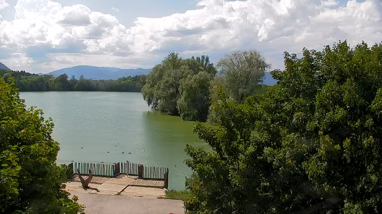 Webcam Ribnik Vrbje – Žalec