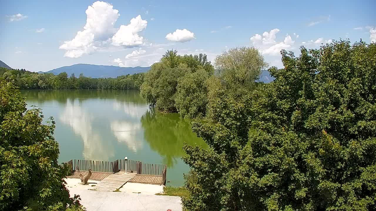 Webcam Ribnik Vrbje – Žalec