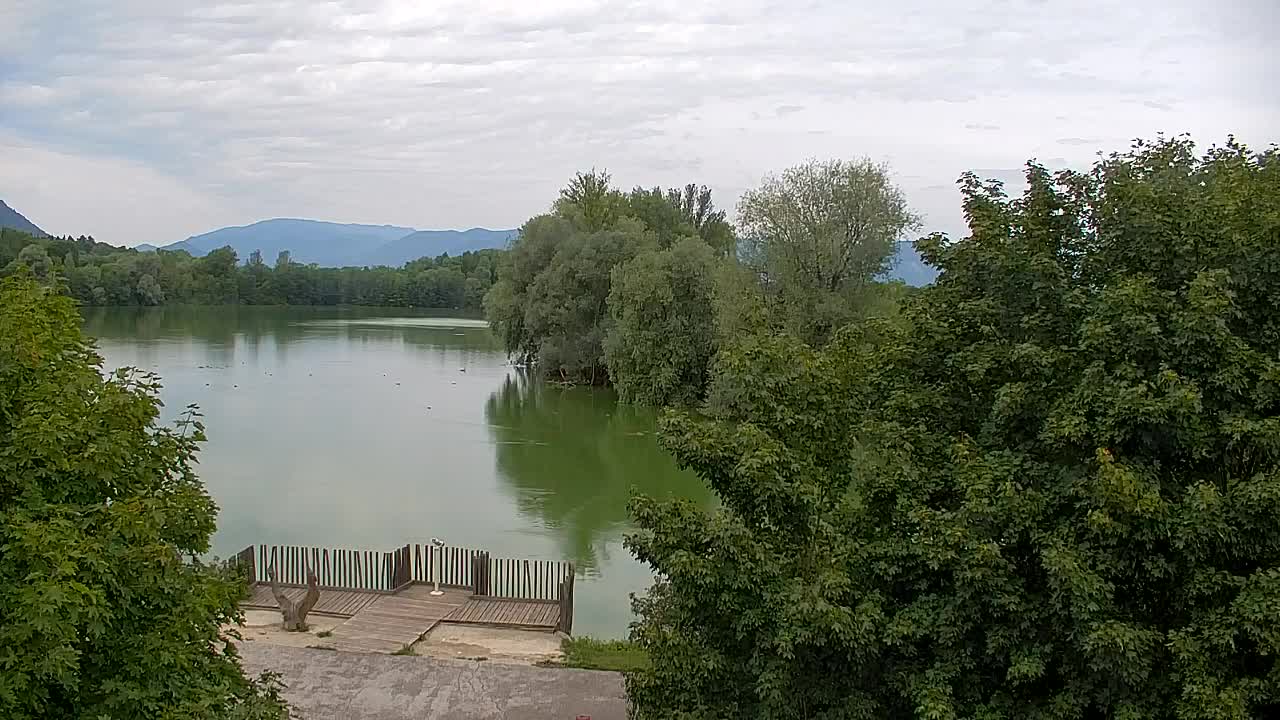 Spletna kamera Ribnik Vrbje – Žalec