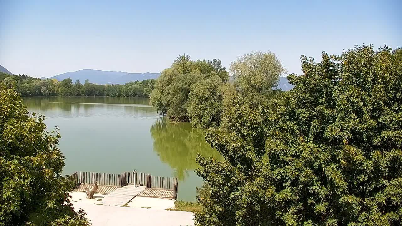 Spletna kamera Ribnik Vrbje – Žalec