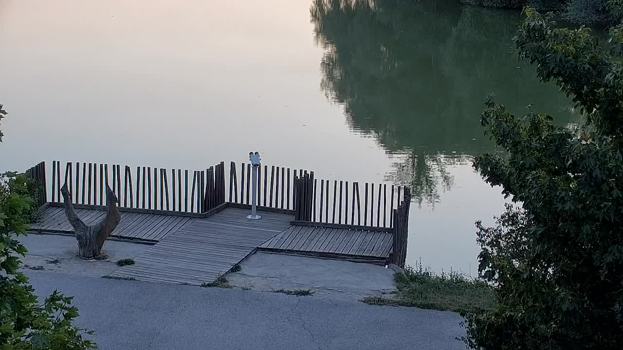 Webcam Ribnik Vrbje – Žalec