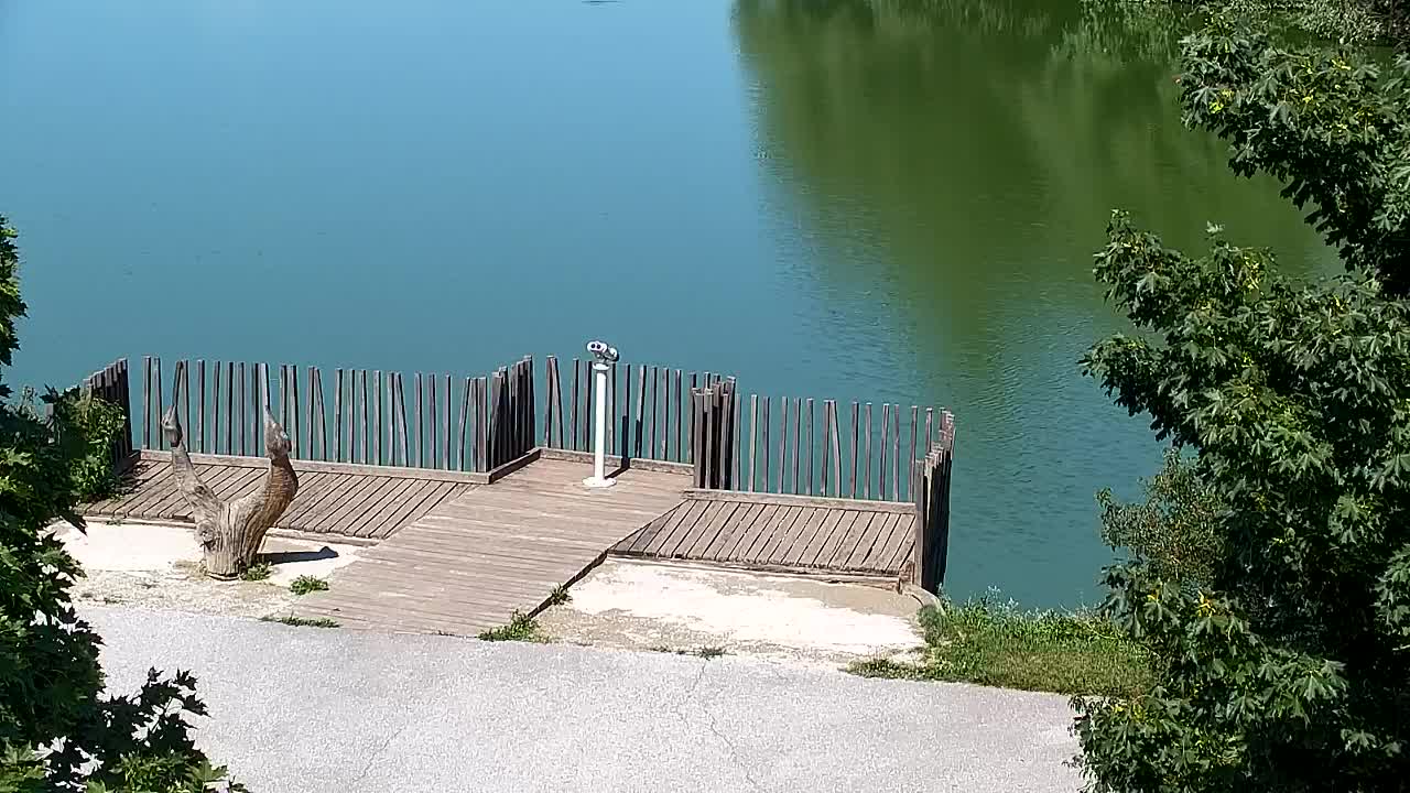 Webcam Ribnik Vrbje – Žalec