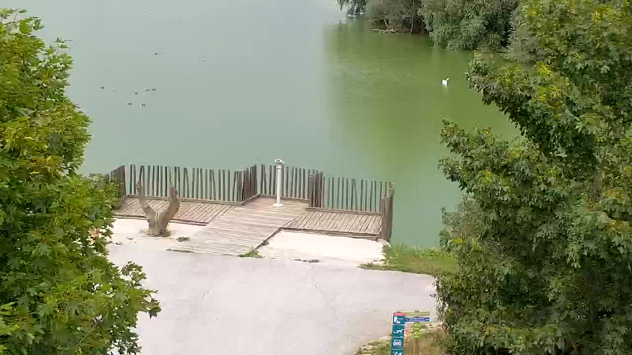 Webcam Ribnik Vrbje – Žalec