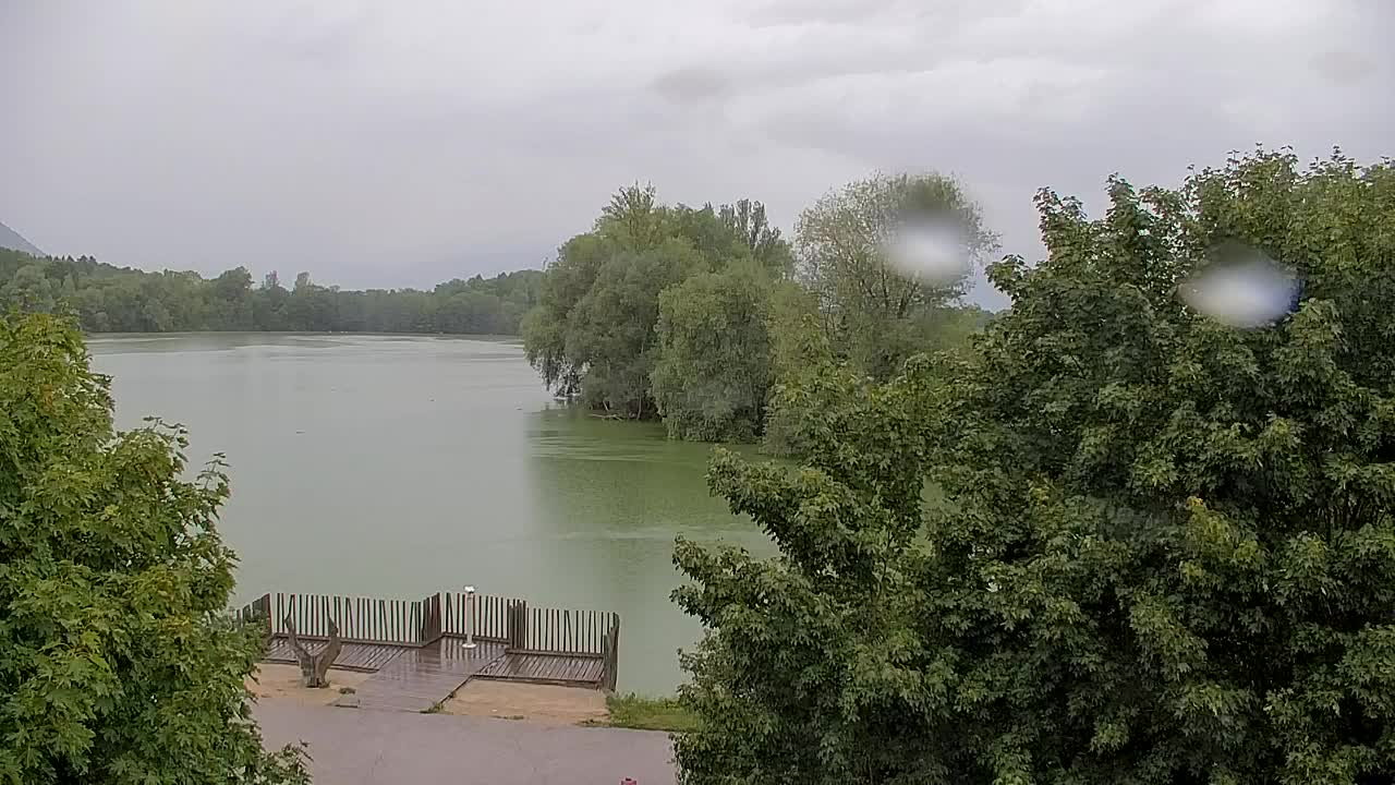 Webcam Ribnik Vrbje – Žalec
