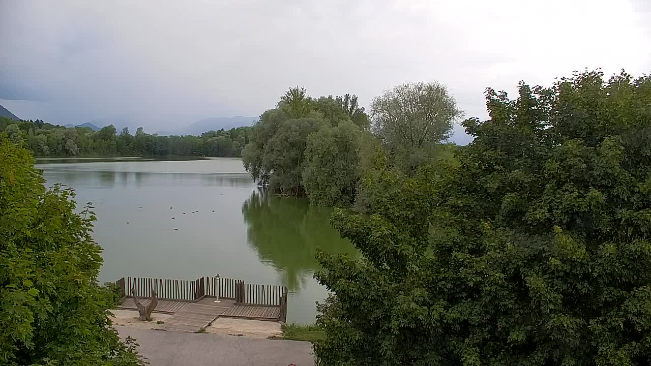 Webcam Ribnik Vrbje – Žalec