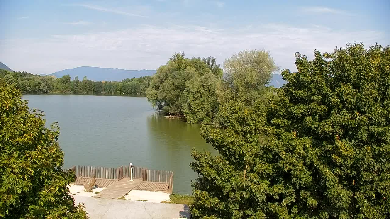 Spletna kamera Ribnik Vrbje – Žalec
