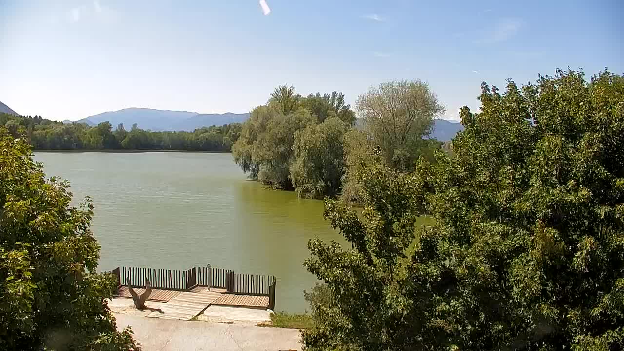 Webcam Ribnik Vrbje – Žalec