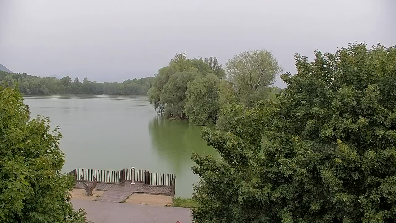 Webcam Ribnik Vrbje – Žalec